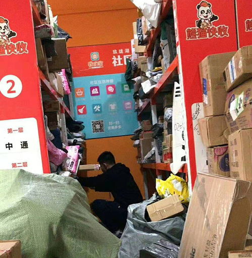 熊貓快收項(xiàng)目介紹 連鎖加盟與票務(wù)代理服務(wù)詳解